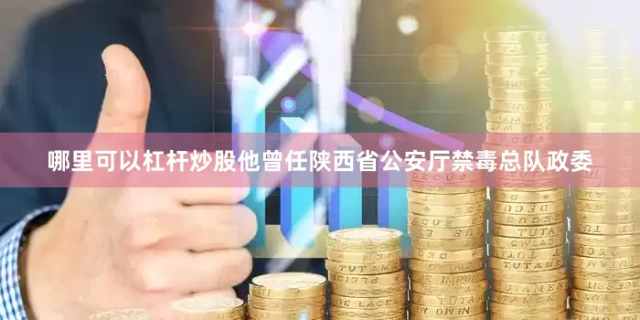 哪里可以杠杆炒股他曾任陕西省公安厅禁毒总队政委