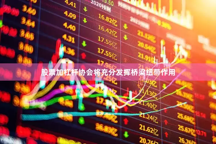 股票加杠杆协会将充分发挥桥梁纽带作用