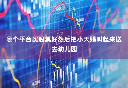 哪个平台买股票好然后把小天赐叫起来送去幼儿园