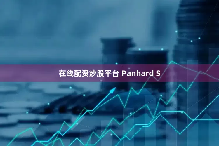 在线配资炒股平台 Panhard S